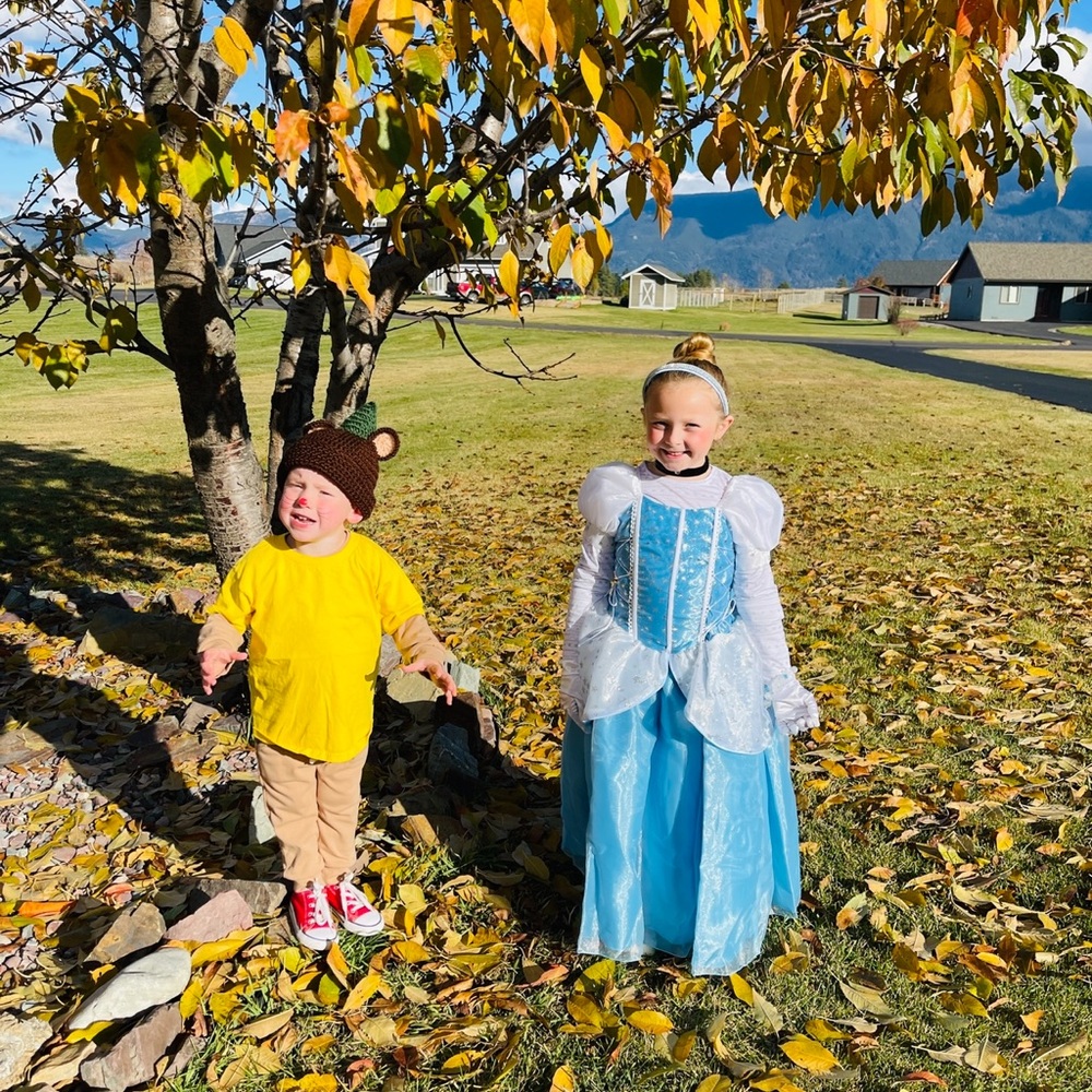 Custom made Cinderella Costume